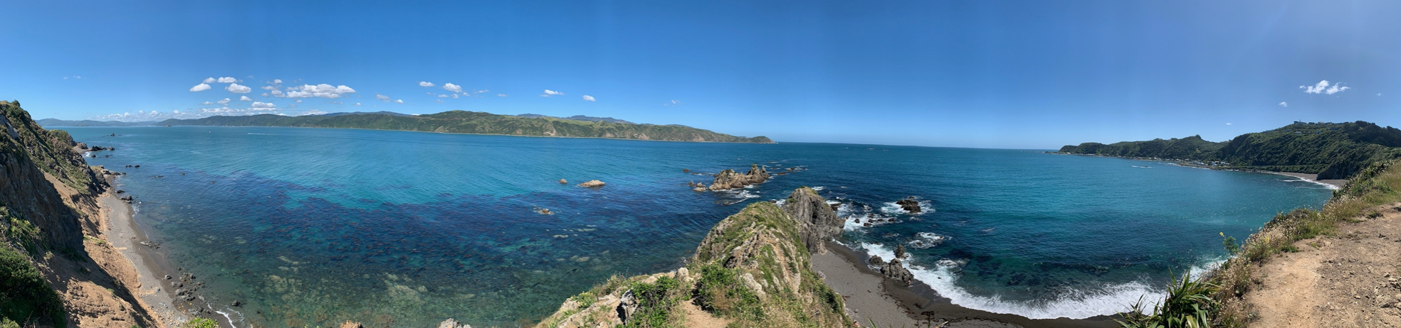 Wellington Panorama